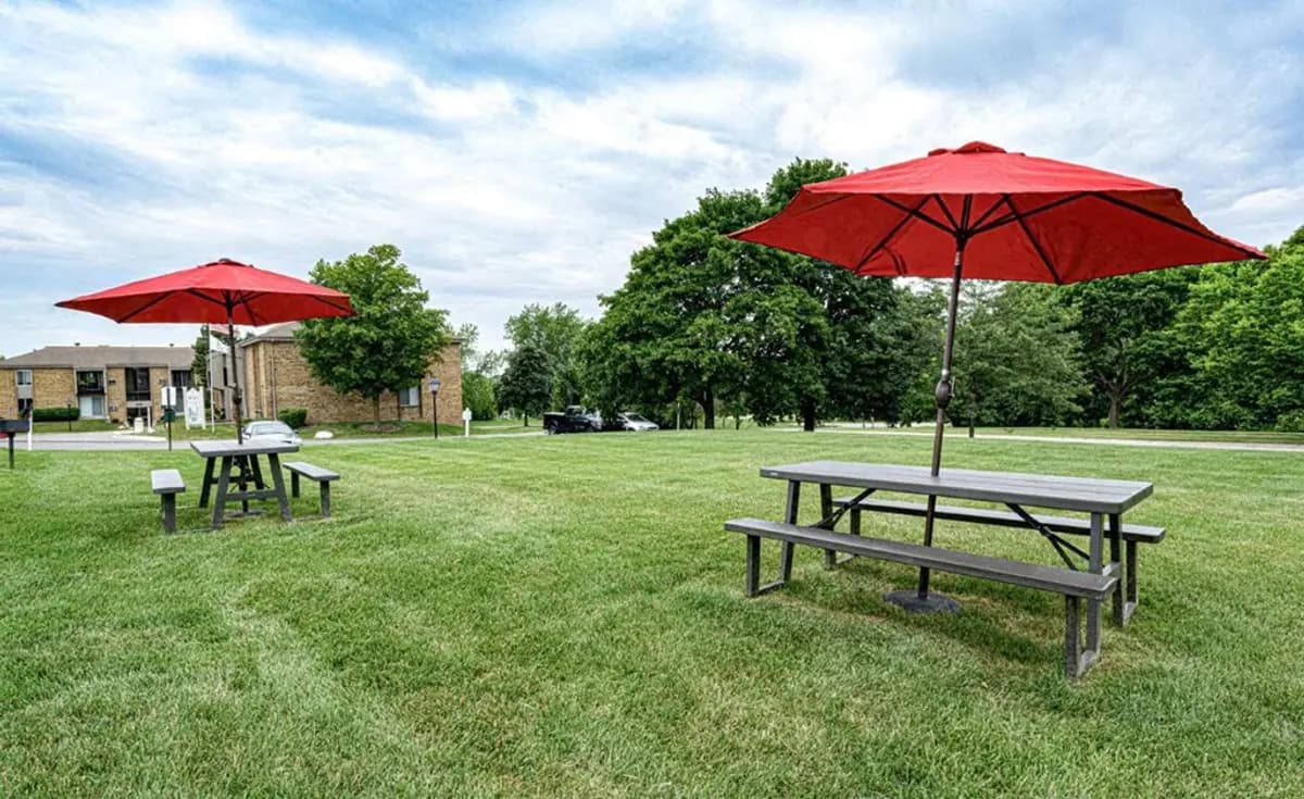  College Square Apartments - Apartment - 16
